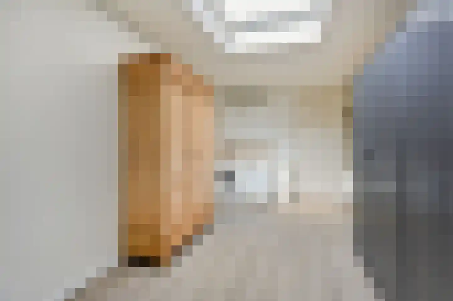van der Goesstraat 89 Duiven thumbnail 24