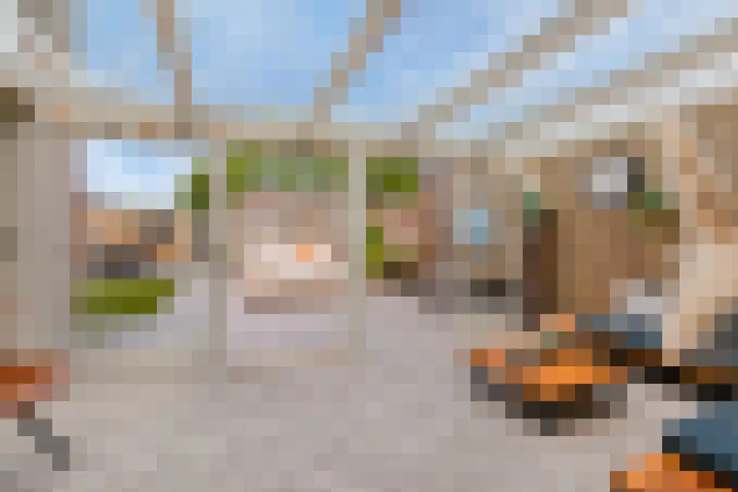 van der Goesstraat 89 Duiven thumbnail 25
