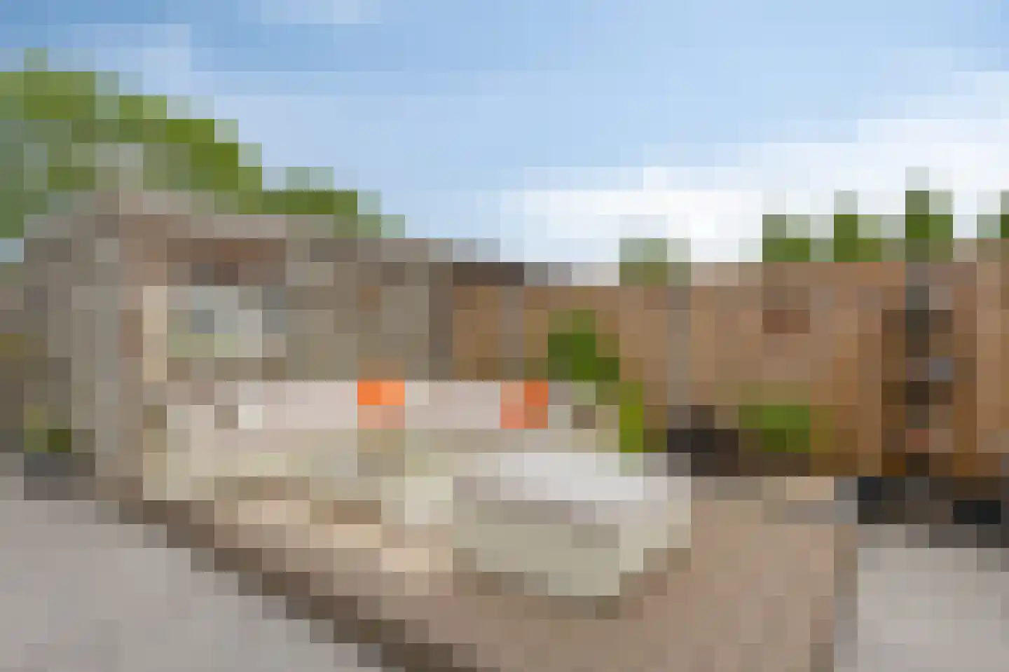 van der Goesstraat 89 Duiven thumbnail 30