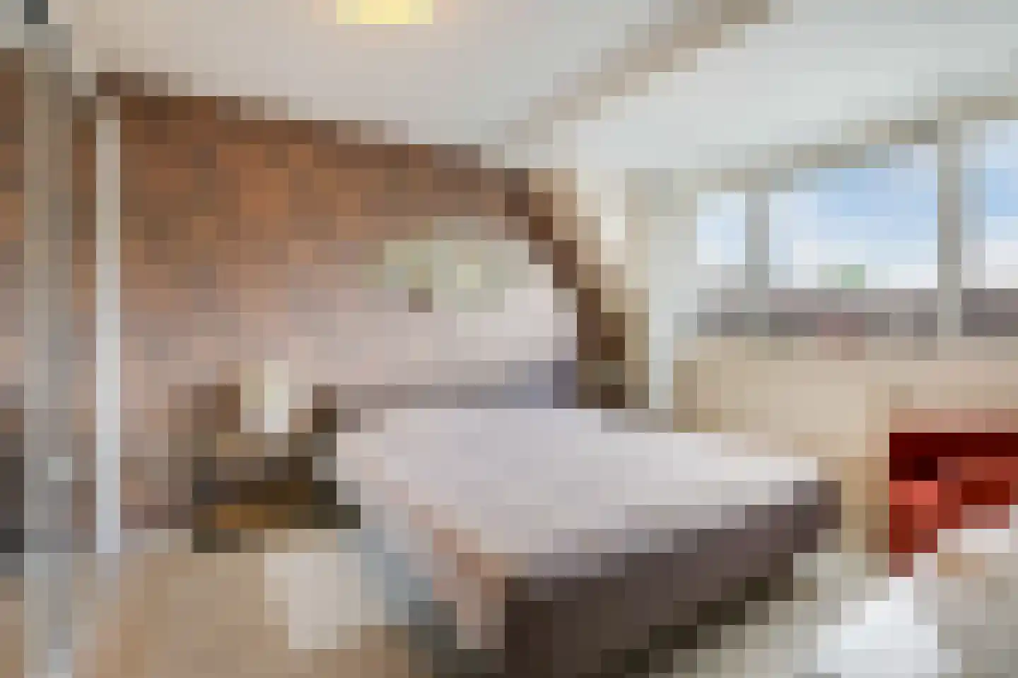van der Goesstraat 89 Duiven thumbnail 47