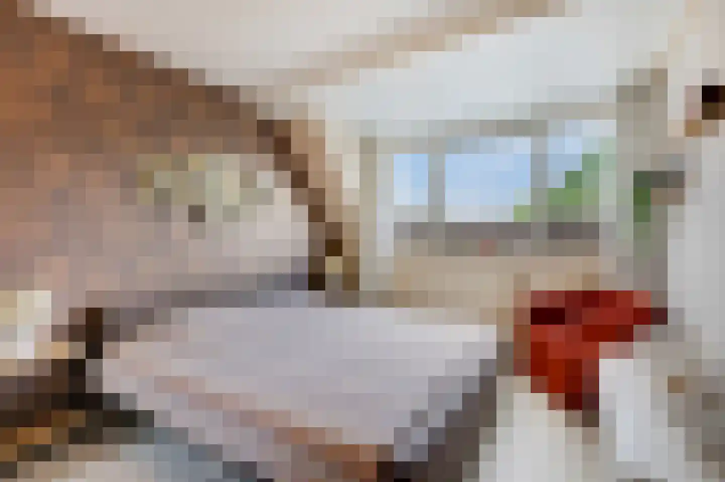 van der Goesstraat 89 Duiven thumbnail 48