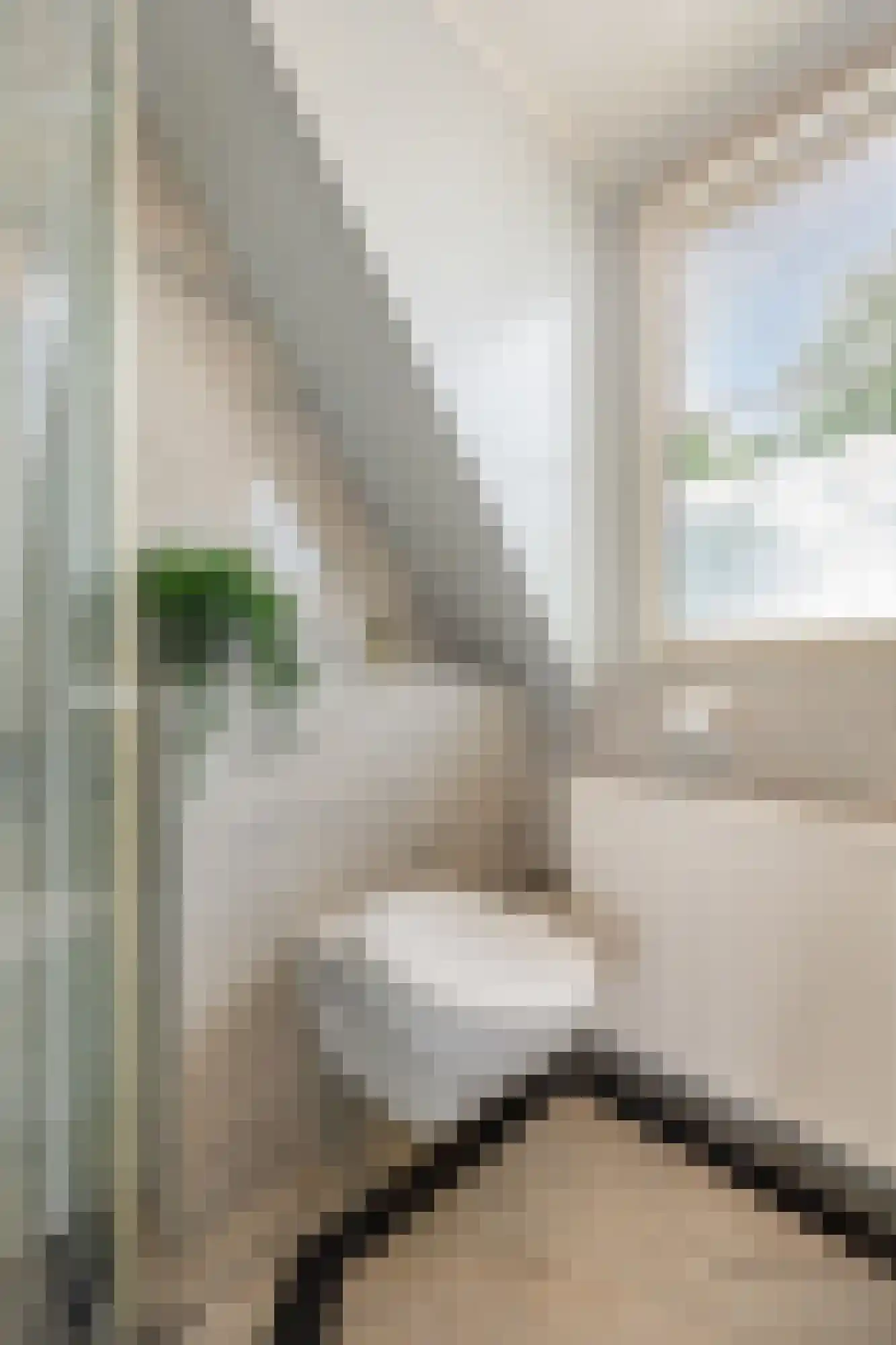 van der Goesstraat 89 Duiven thumbnail 52