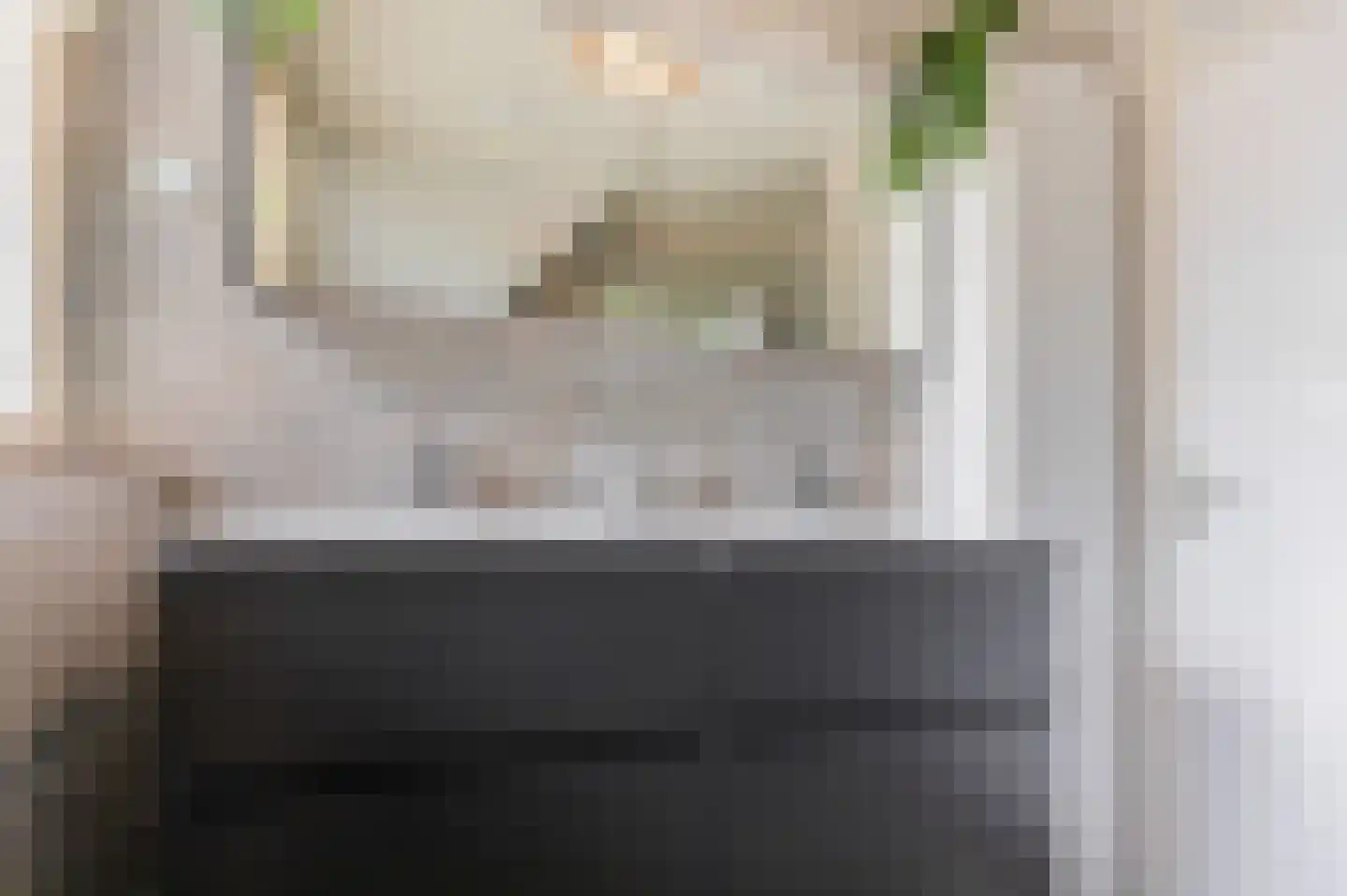 van der Goesstraat 89 Duiven thumbnail 54
