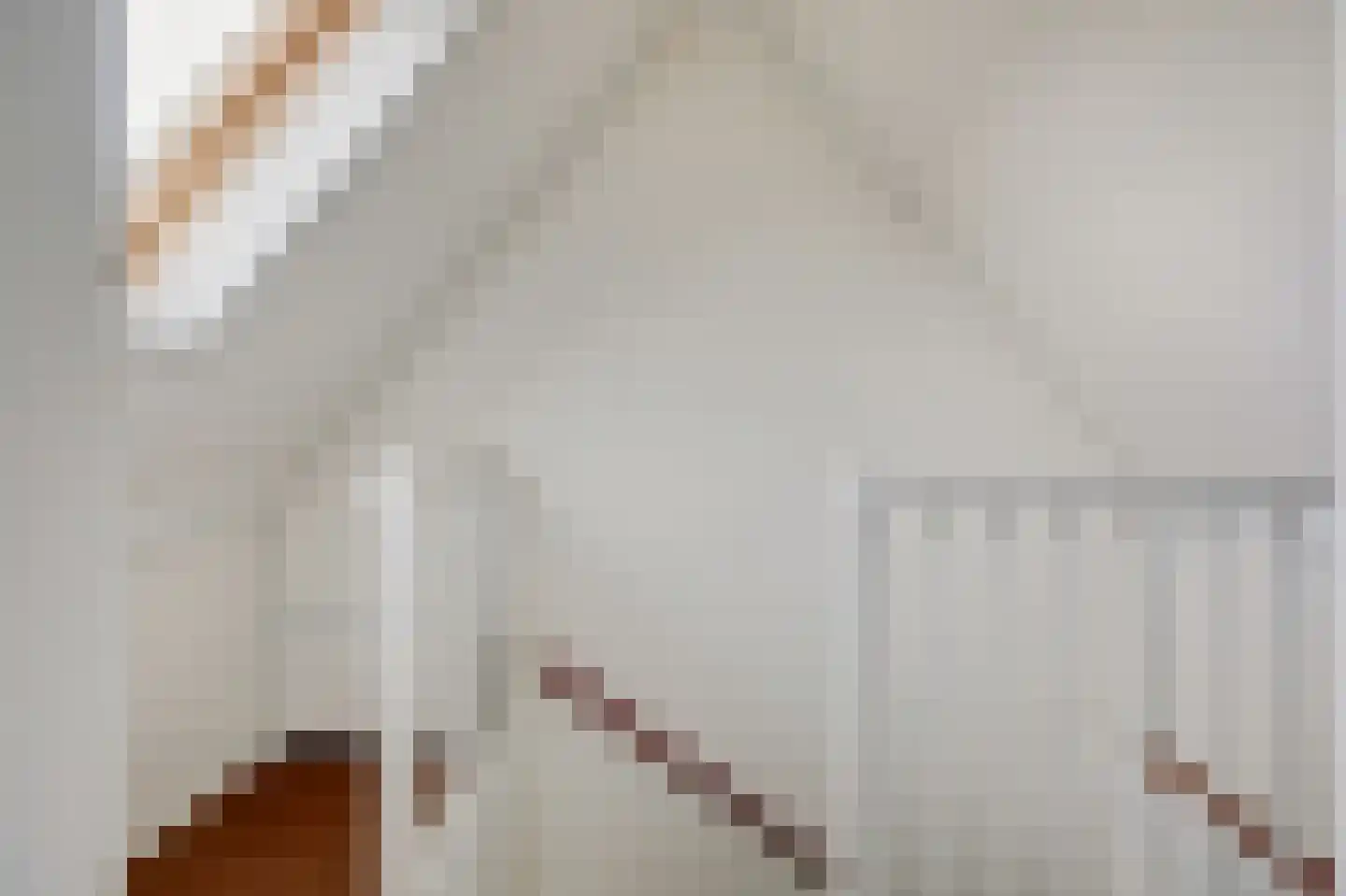 van der Goesstraat 89 Duiven thumbnail 55
