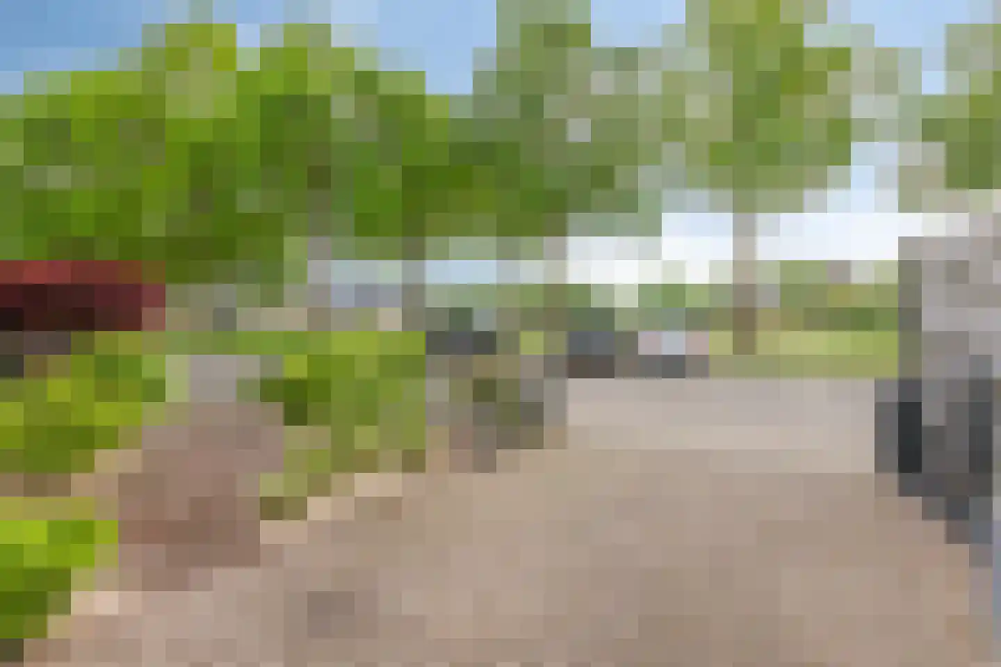 van der Goesstraat 89 Duiven thumbnail 63