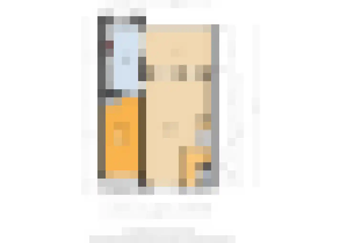 van der Goesstraat 89 Duiven thumbnail 65