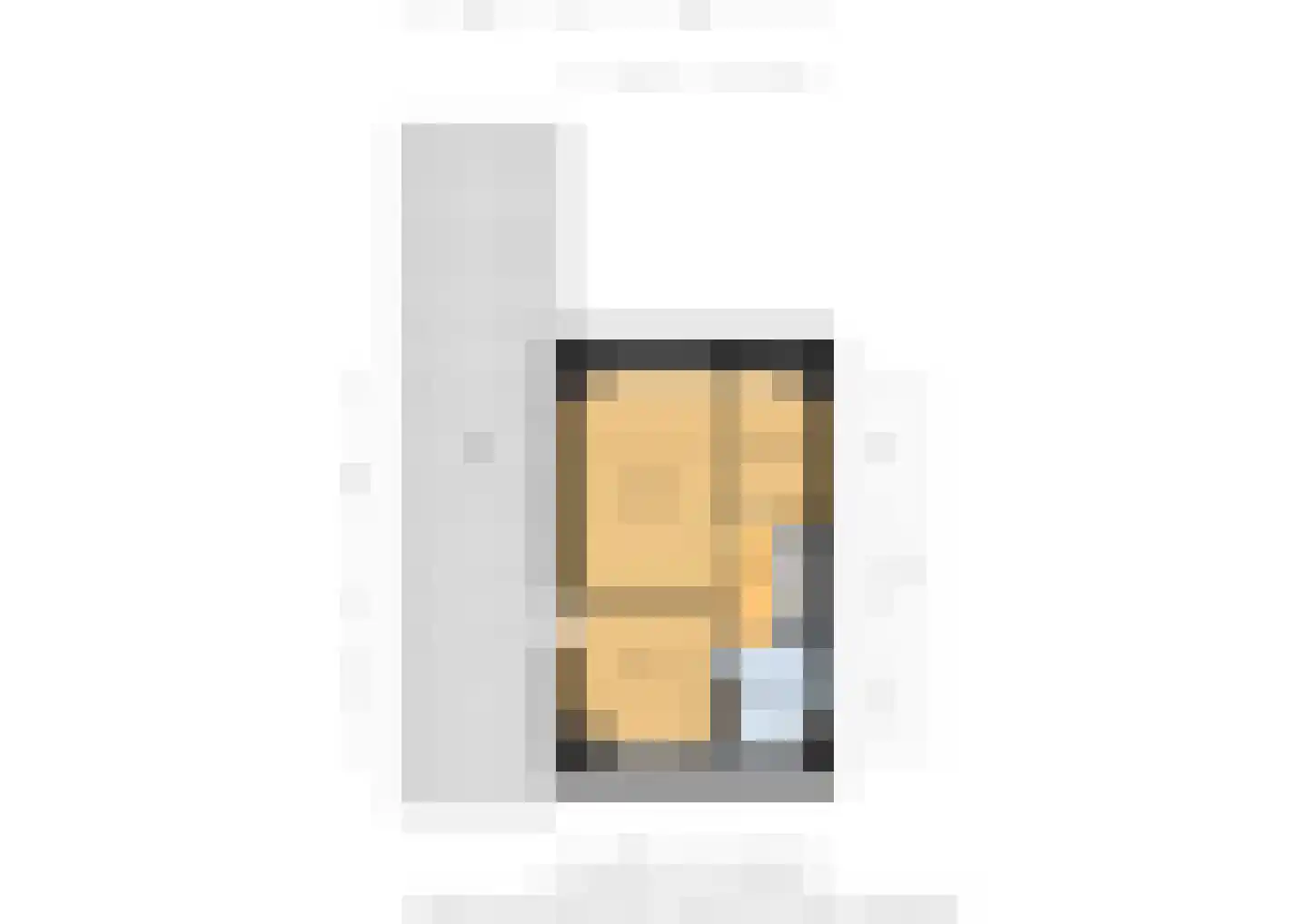 van der Goesstraat 89 Duiven thumbnail 66