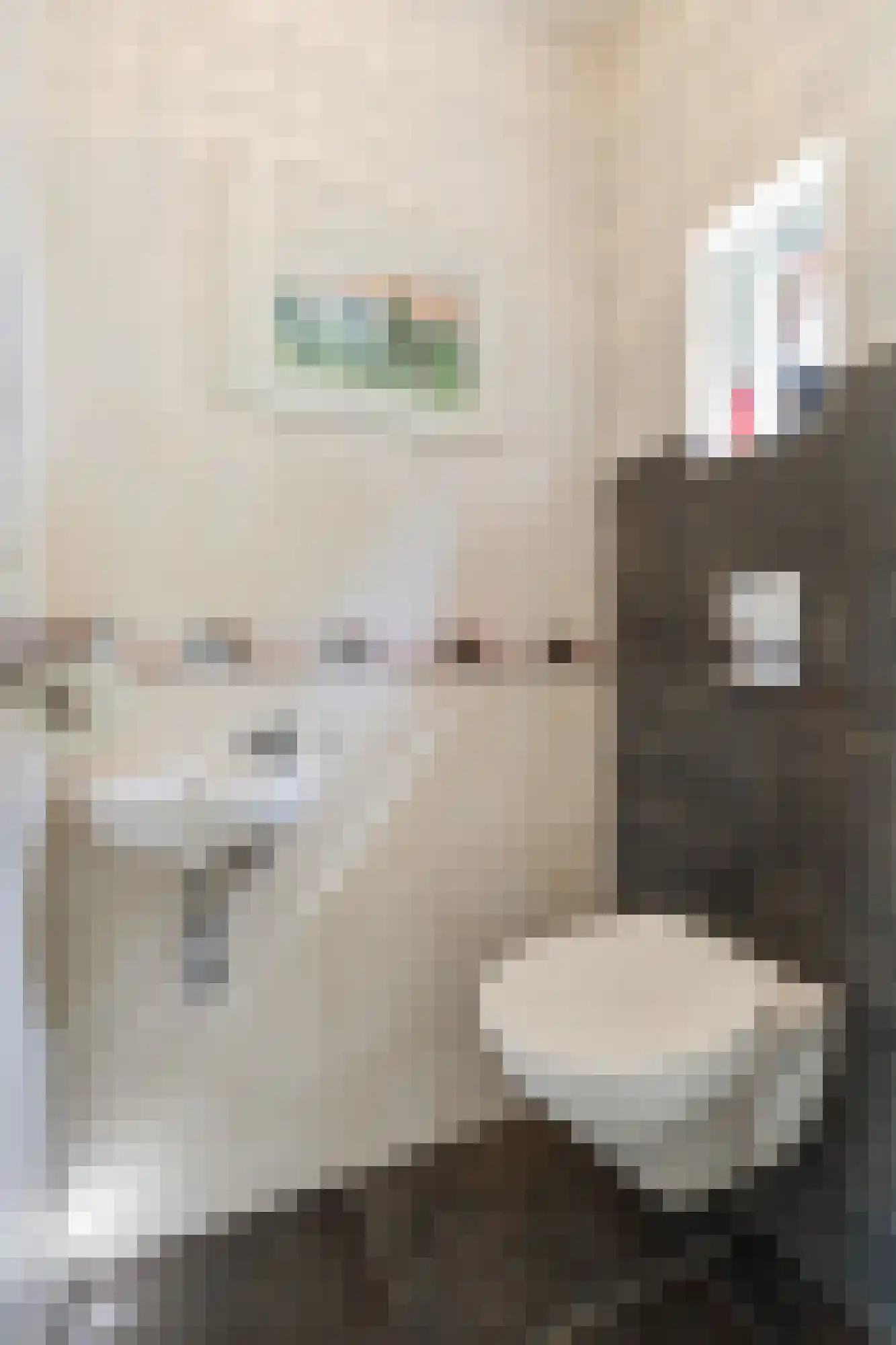van der Goesstraat 89 Duiven thumbnail 8
