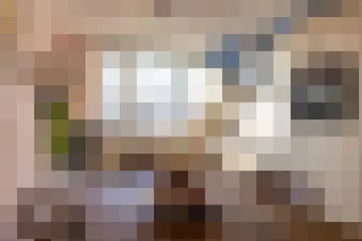 van der Goesstraat 91 Duiven thumbnail 15
