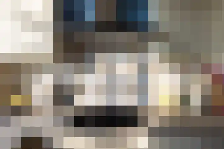 van der Goesstraat 91 Duiven thumbnail 18
