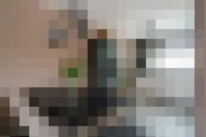 van der Goesstraat 99 Duiven thumbnail 13