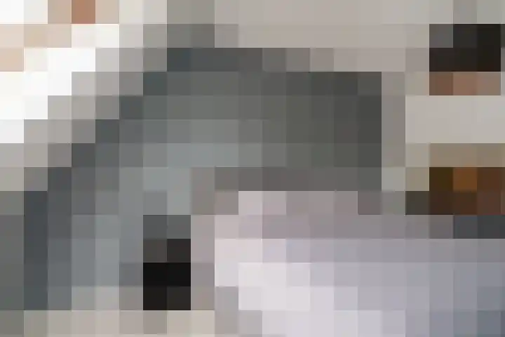 van der Goesstraat 99 Duiven thumbnail 27