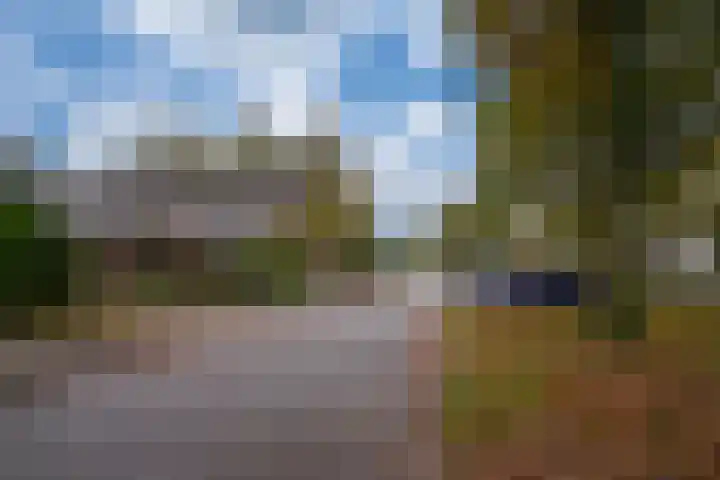 van der Goesstraat 99 Duiven thumbnail 39