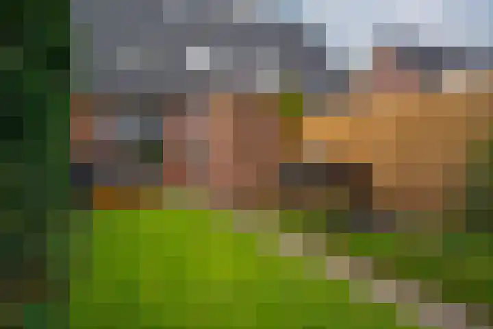 van der Goesstraat 99 Duiven thumbnail 4