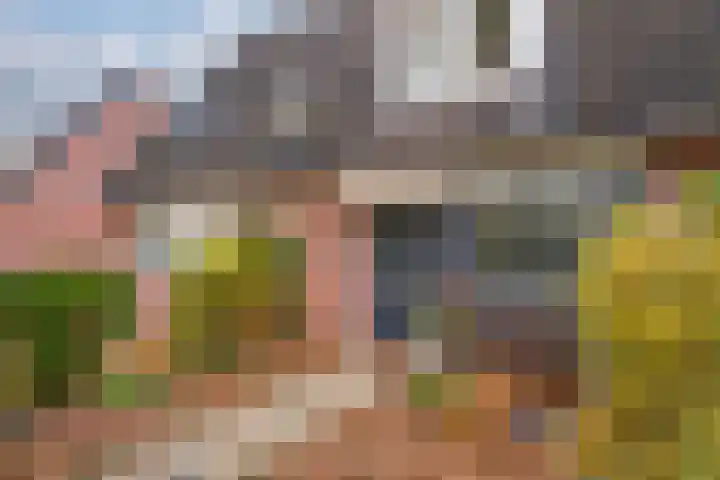 van der Goesstraat 99 Duiven thumbnail 6