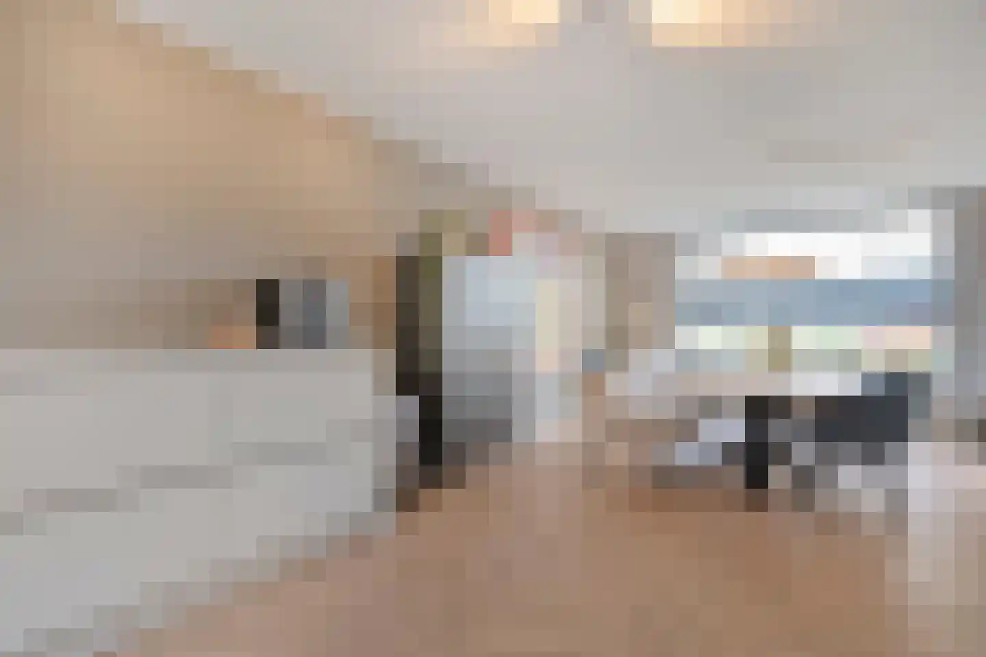 Van der Graaffmarke 12 Zwolle thumbnail 16