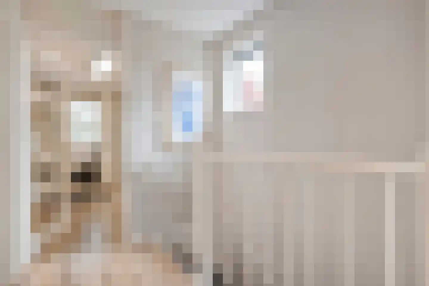 Van der Graaffmarke 12 Zwolle thumbnail 20
