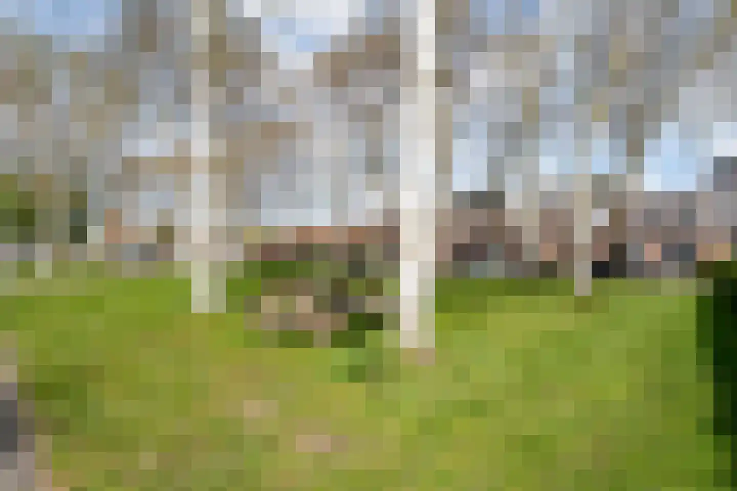 Van der Graaffmarke 12 Zwolle thumbnail 43