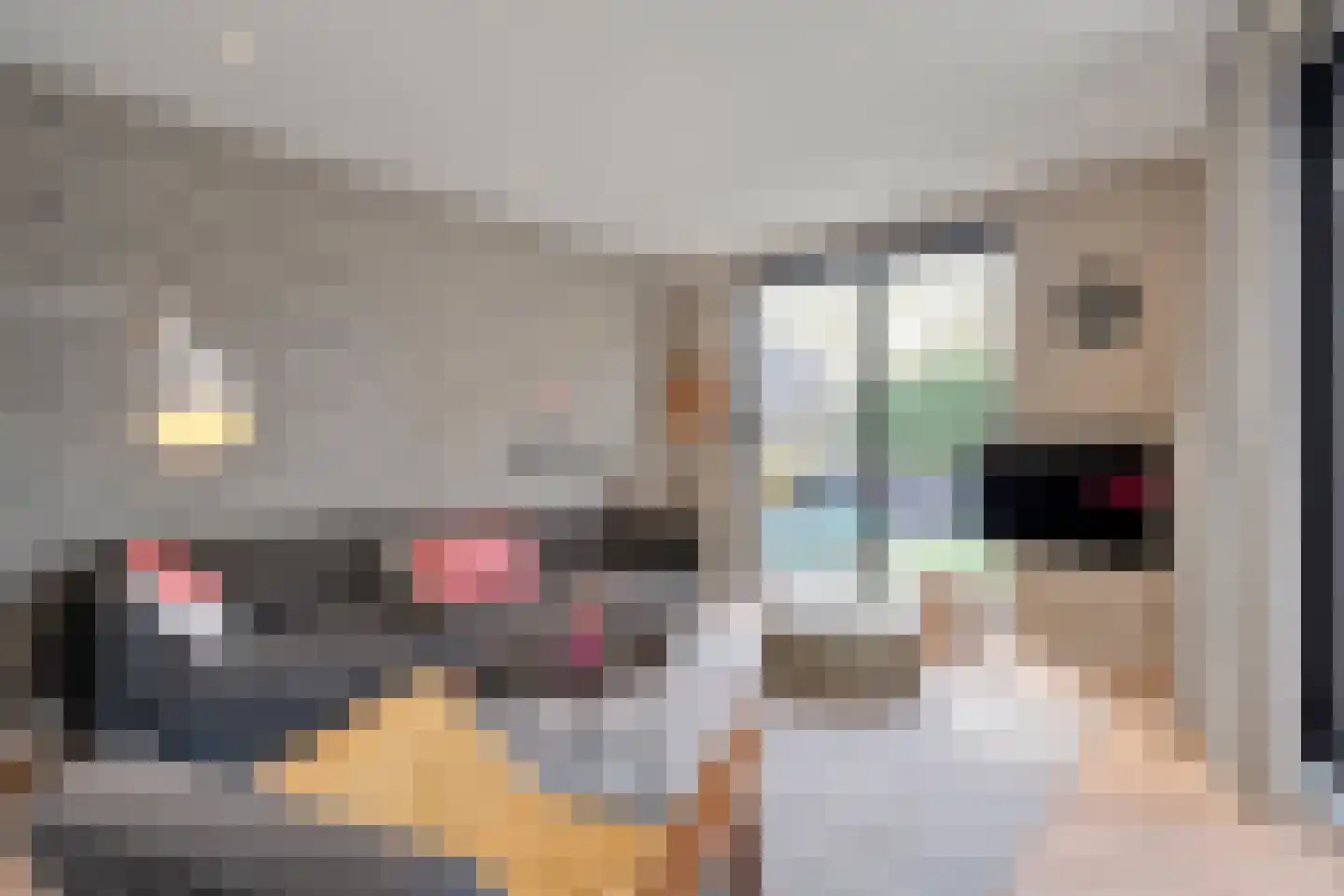 Van der Graaffmarke 12 Zwolle thumbnail 5