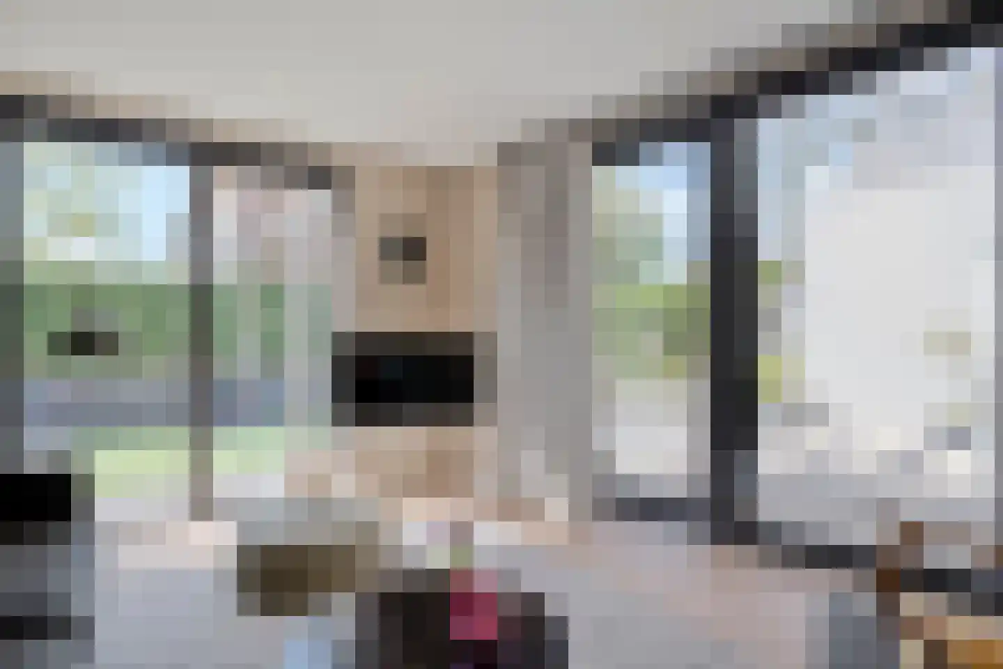 Van der Graaffmarke 12 Zwolle thumbnail 8
