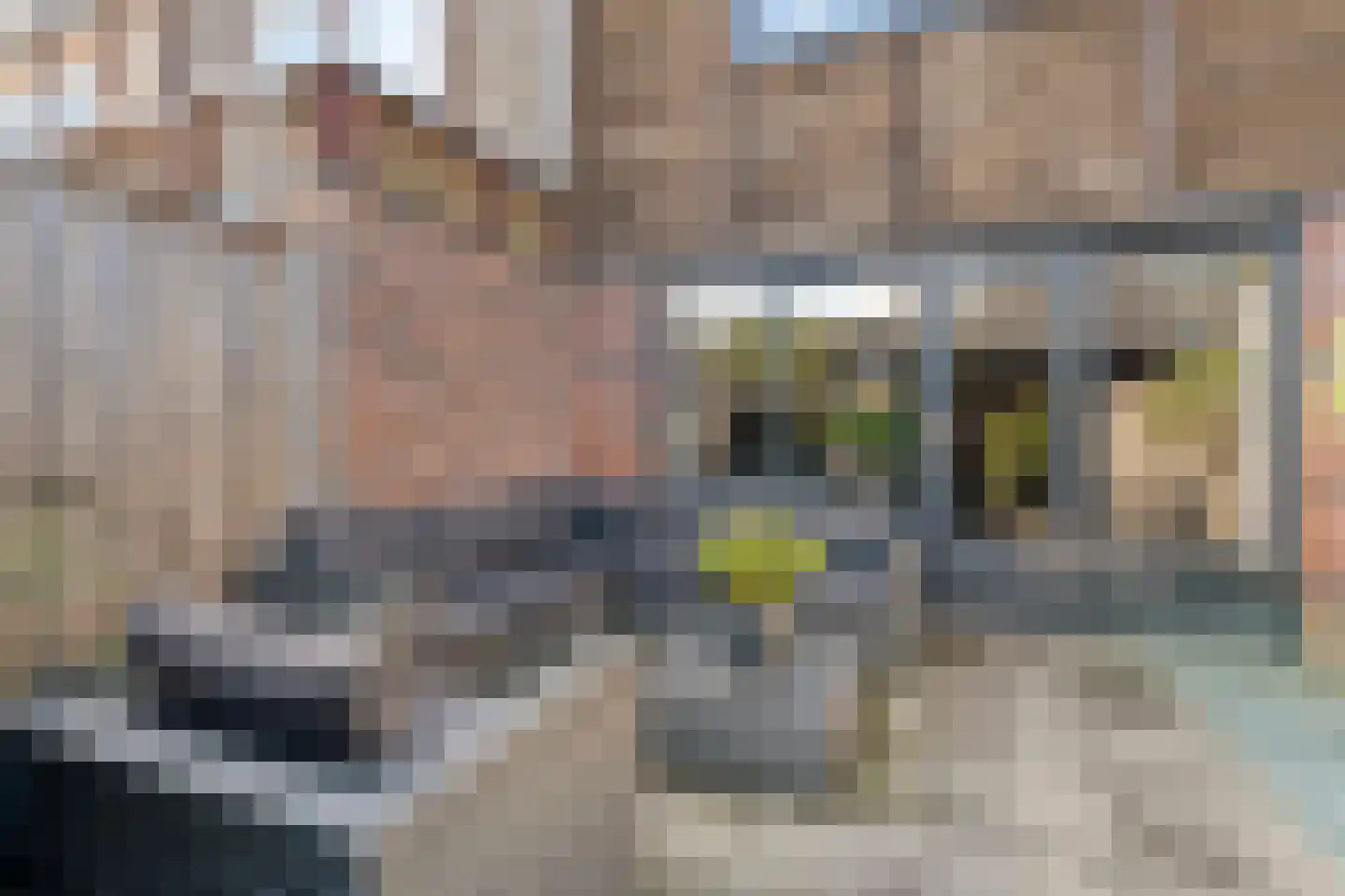 Van der Graaffmarke 19 Zwolle thumbnail 34