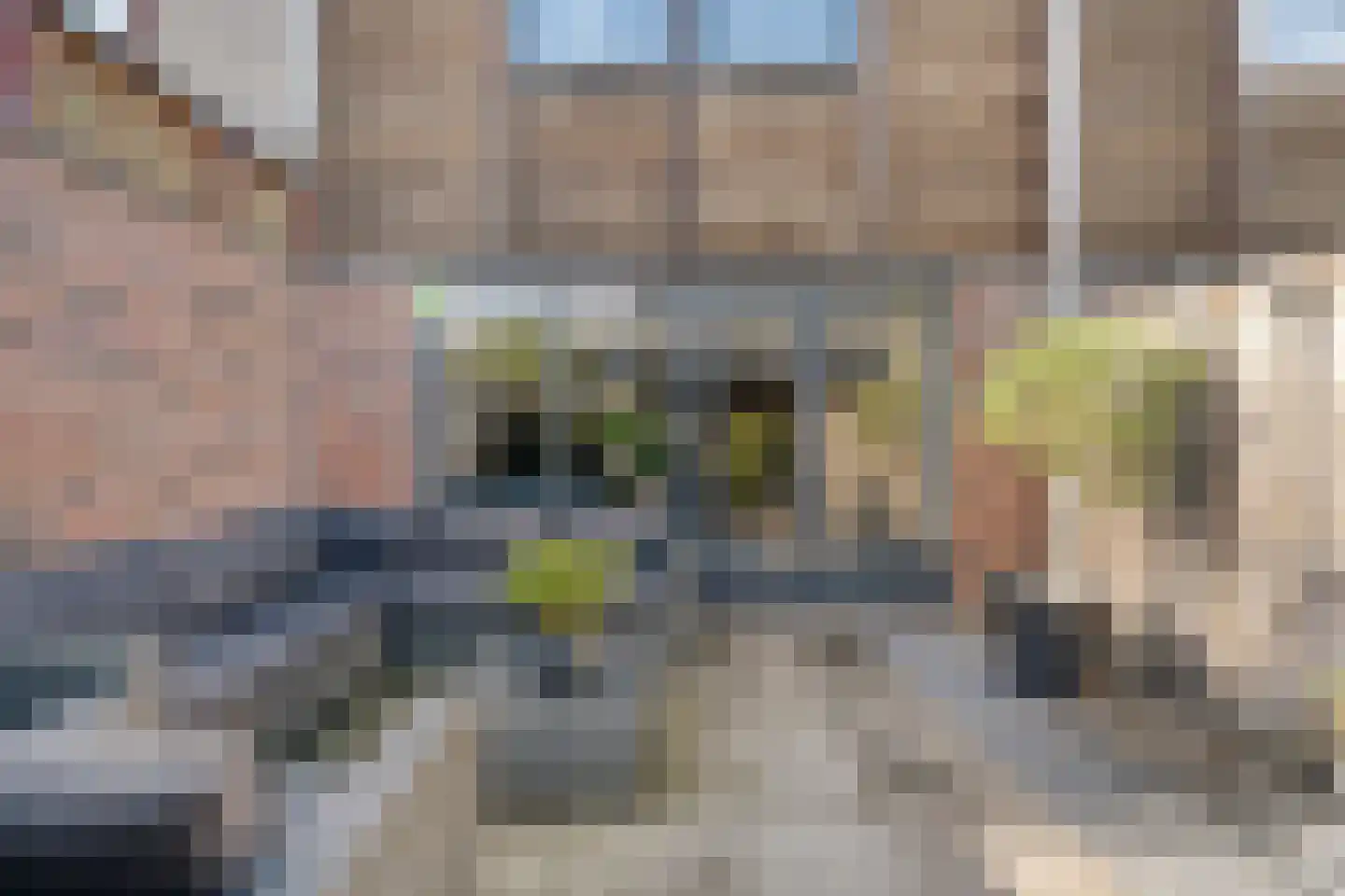 Van der Graaffmarke 19 Zwolle thumbnail 35