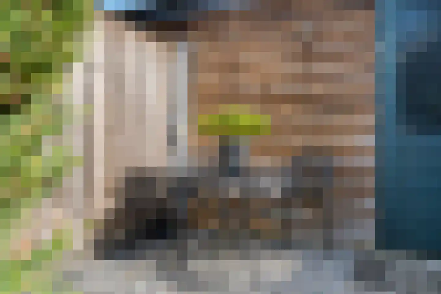 Van der Graaffmarke 19 Zwolle thumbnail 36