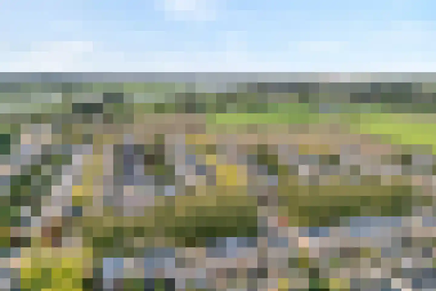 Van der Graaffmarke 19 Zwolle thumbnail 50