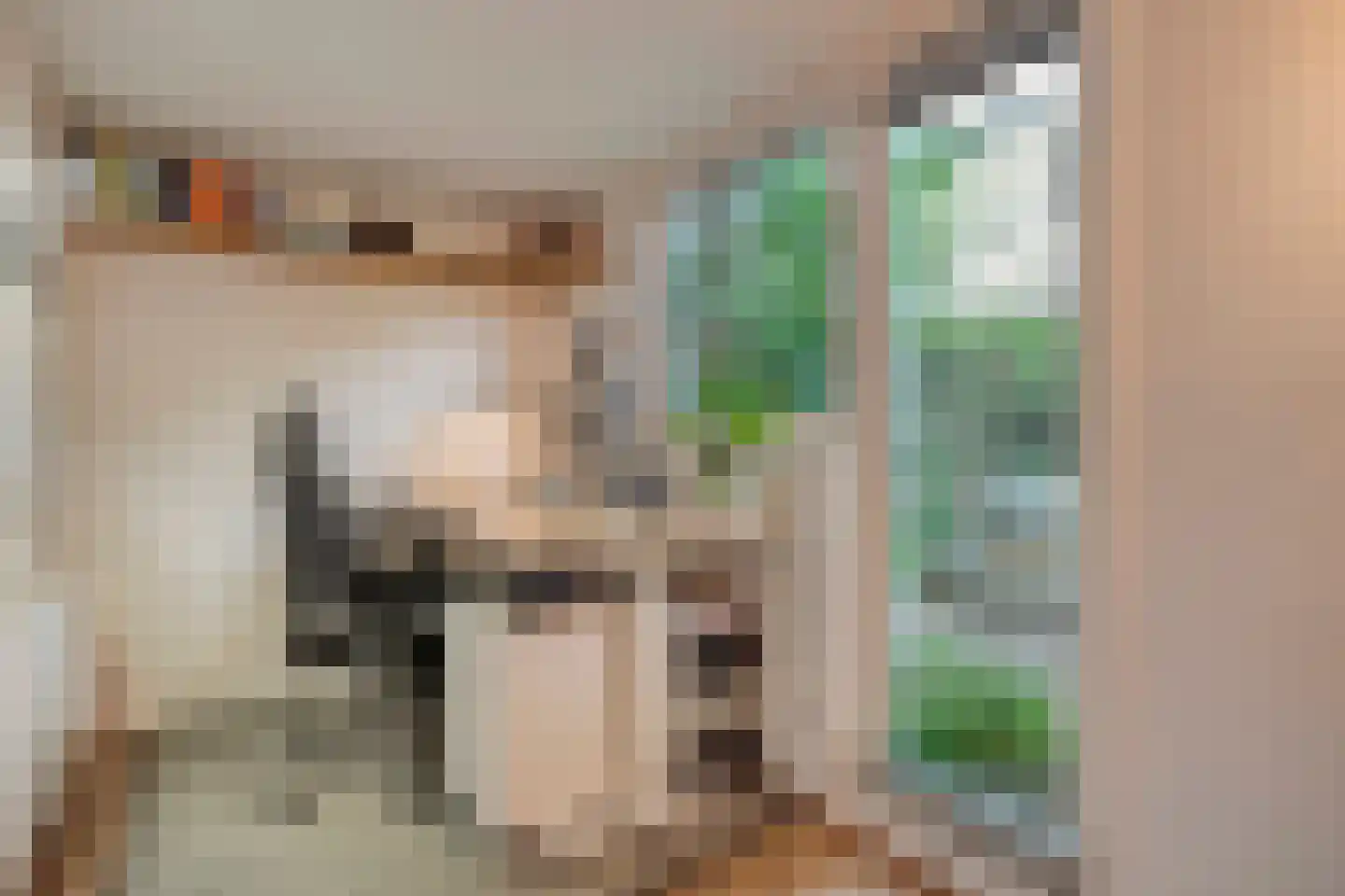 Van der Graaffmarke 8 Zwolle thumbnail 25