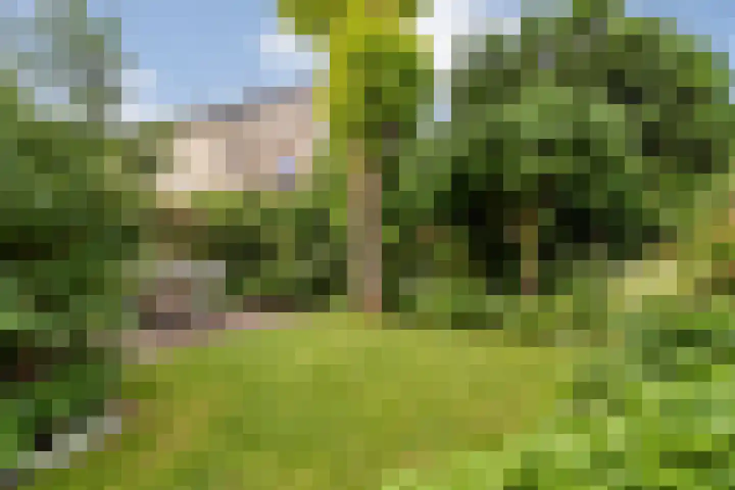 Van der Graaffmarke 8 Zwolle thumbnail 45