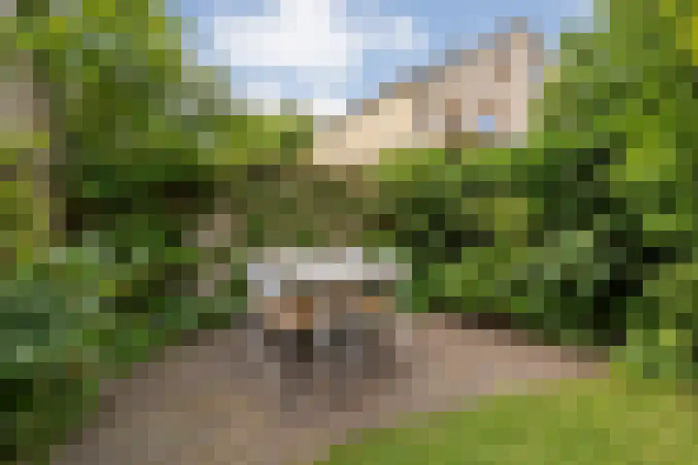 Van der Graaffmarke 8 Zwolle thumbnail 47