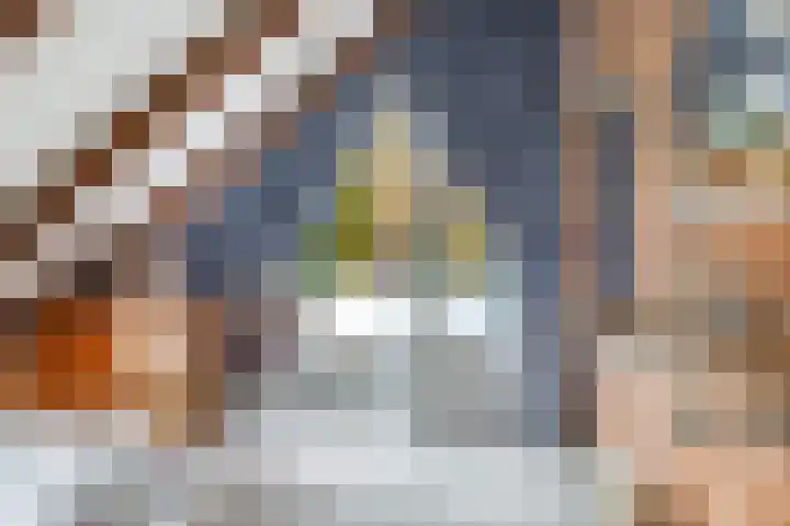 van der Grijnstraat 28 Doetinchem thumbnail 33