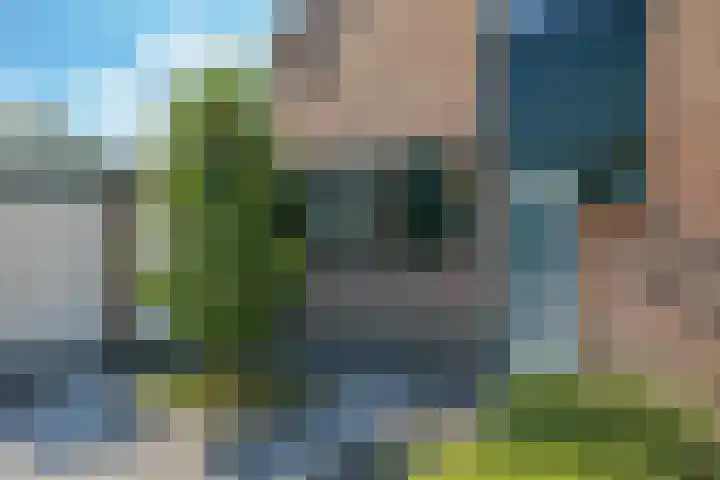 van der Grijnstraat 33 Doetinchem thumbnail 5