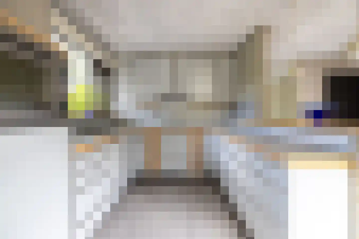 van der Grijnstraat 53 Doetinchem thumbnail 10