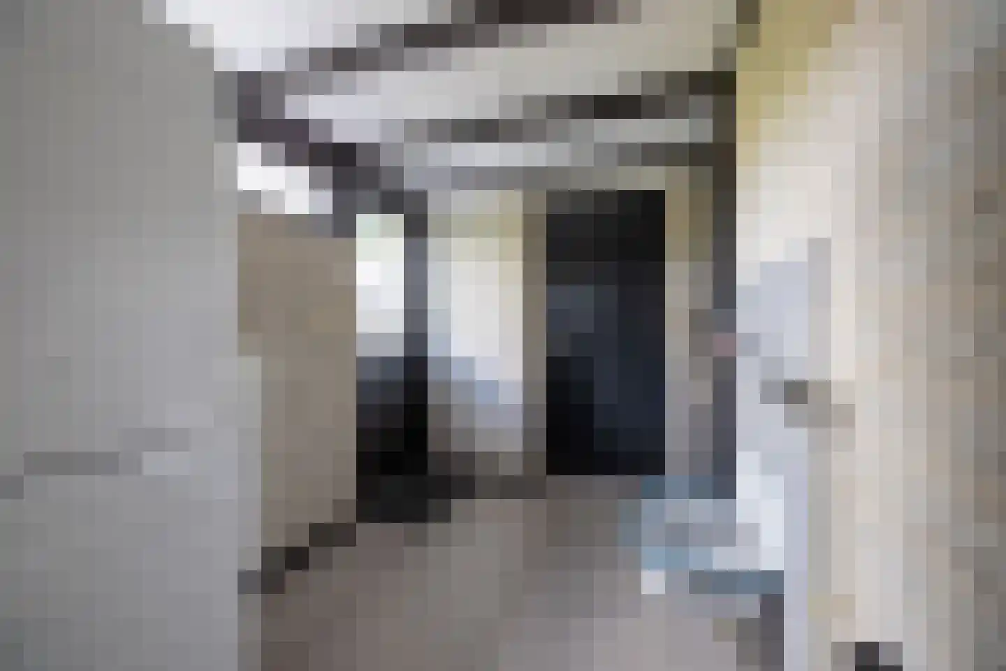 van der Grijnstraat 53 Doetinchem thumbnail 17