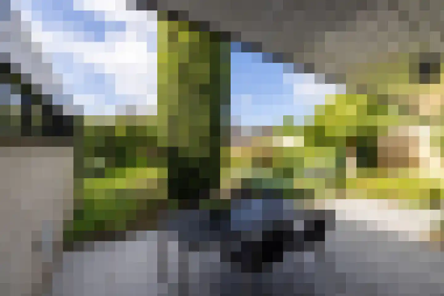 van der Grijnstraat 53 Doetinchem thumbnail 18