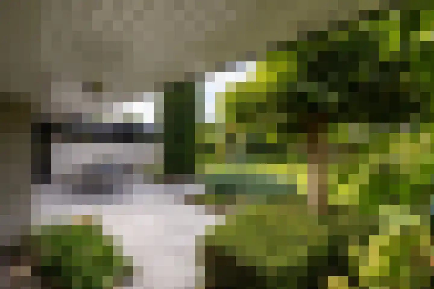van der Grijnstraat 53 Doetinchem thumbnail 20