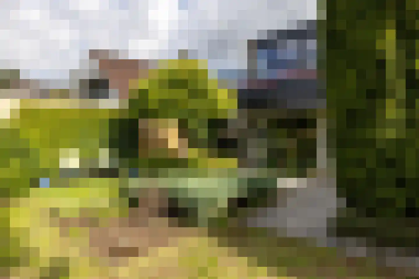 van der Grijnstraat 53 Doetinchem thumbnail 21