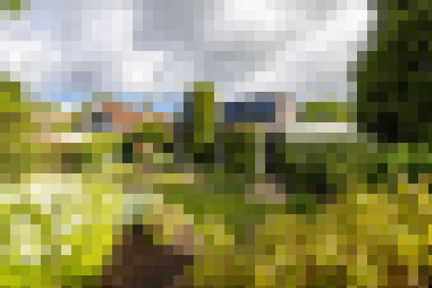 van der Grijnstraat 53 Doetinchem thumbnail 24