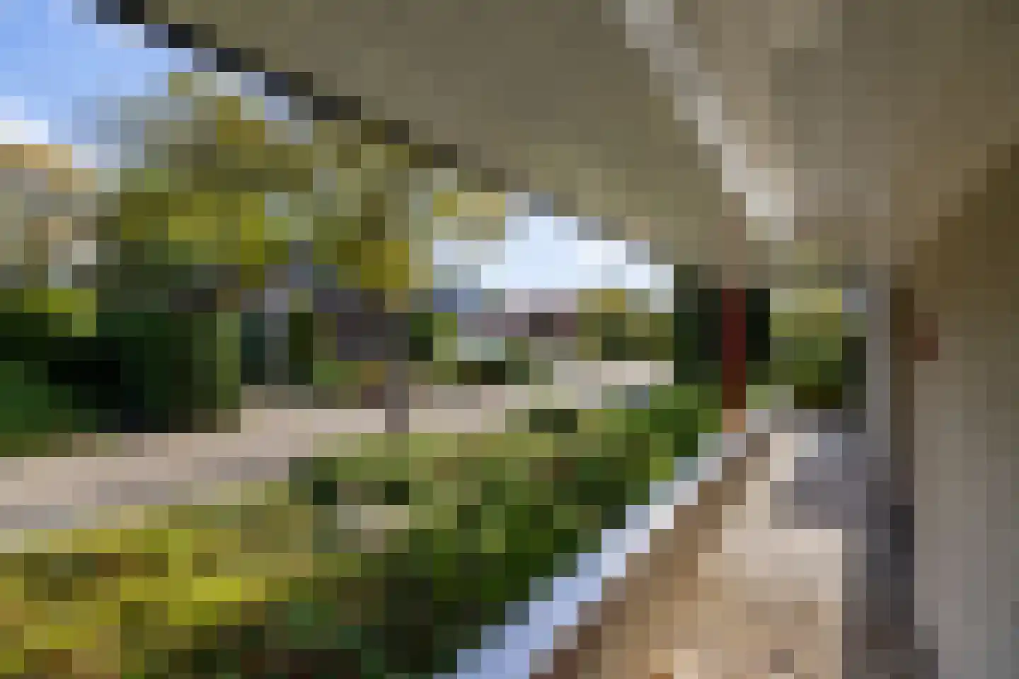 van der Grijnstraat 53 Doetinchem thumbnail 58