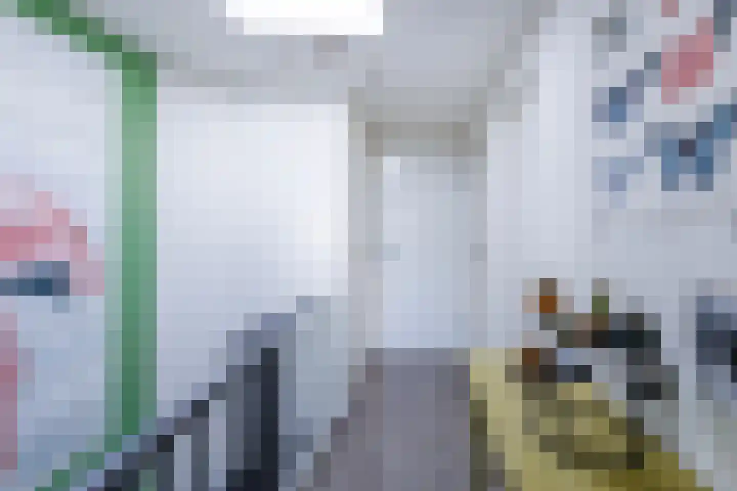van der Grijnstraat 7 Doetinchem thumbnail 38