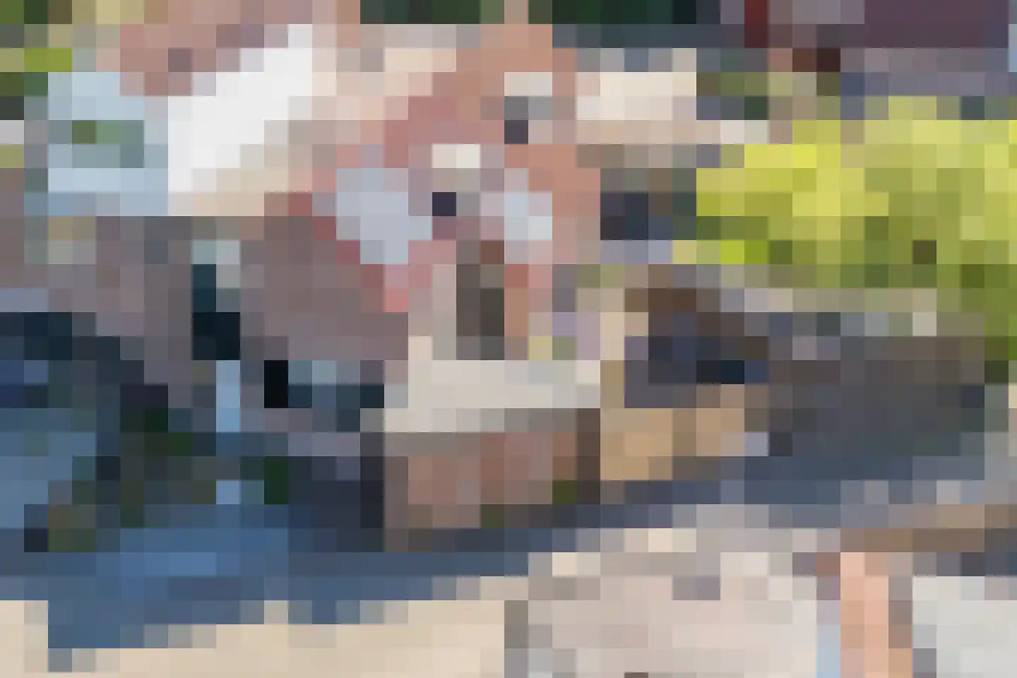 van der Grijnstraat 7 Doetinchem thumbnail 41