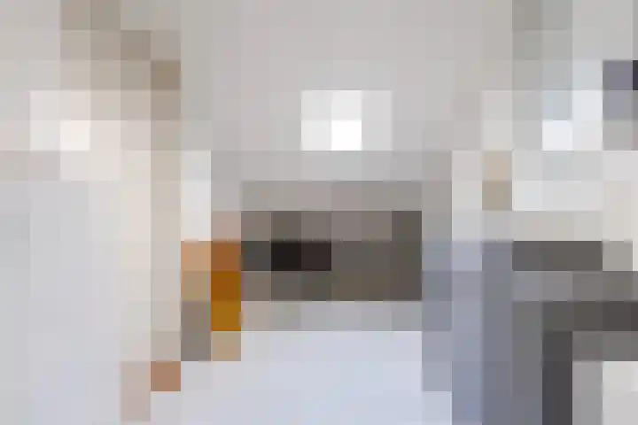 van der Grijnstraat 8 Doetinchem thumbnail 34