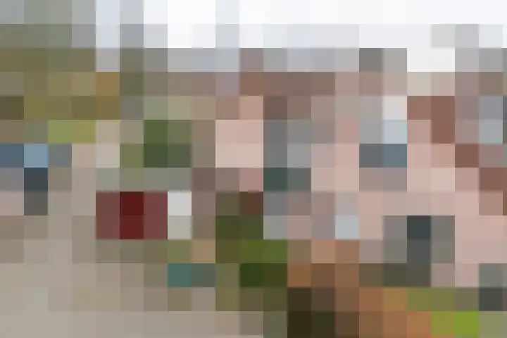 van der Grijnstraat 9 Doetinchem thumbnail 29