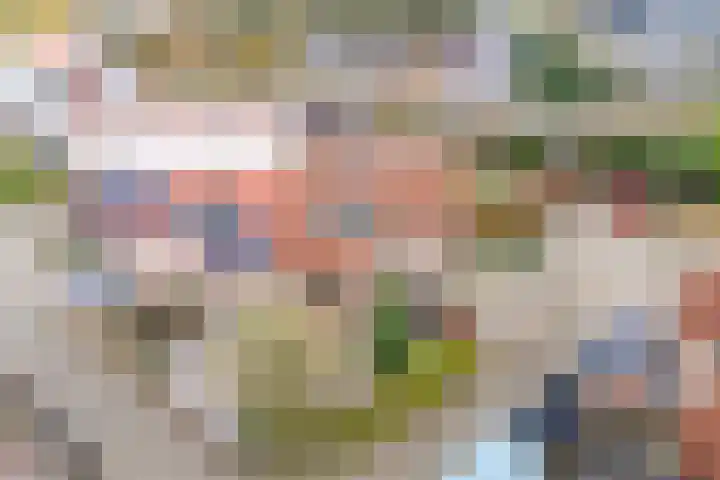van der Grijnstraat 9 Doetinchem thumbnail 33