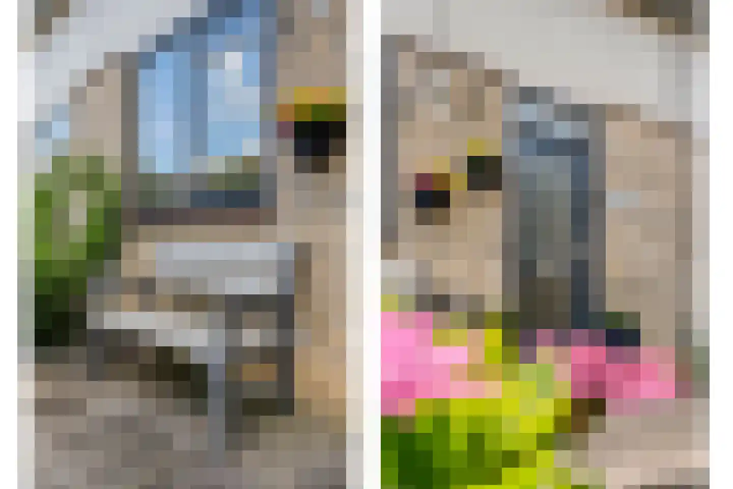 Van der Grondenmarke 23 Zwolle thumbnail 38