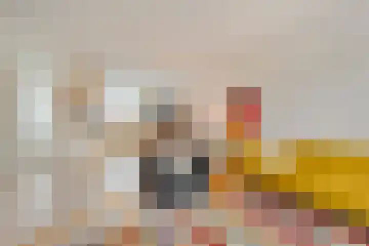 Van der Grondenmarke 35 Zwolle thumbnail 14