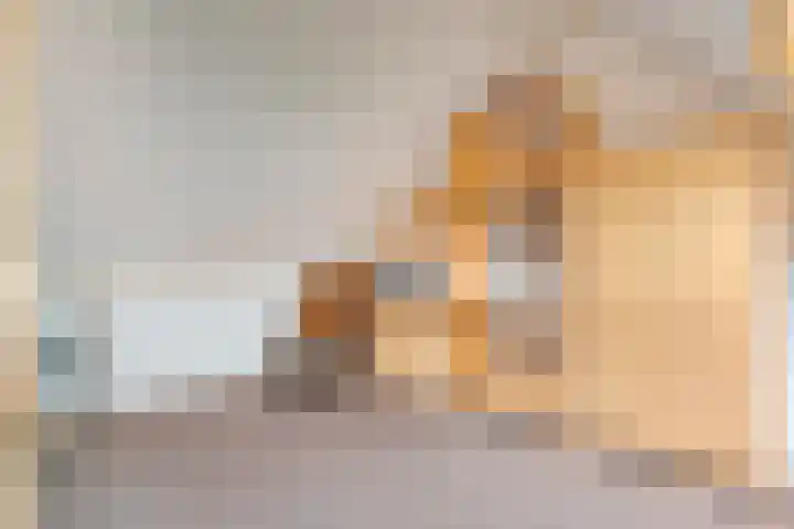 Van der Grondenmarke 35 Zwolle thumbnail 33