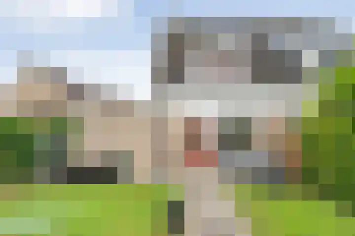 Van der Grondenmarke 35 Zwolle thumbnail 38