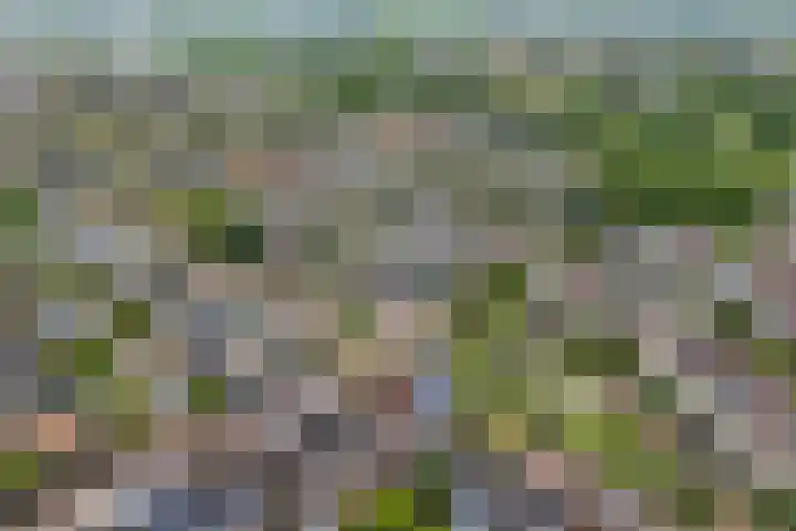 Van der Grondenmarke 35 Zwolle thumbnail 4